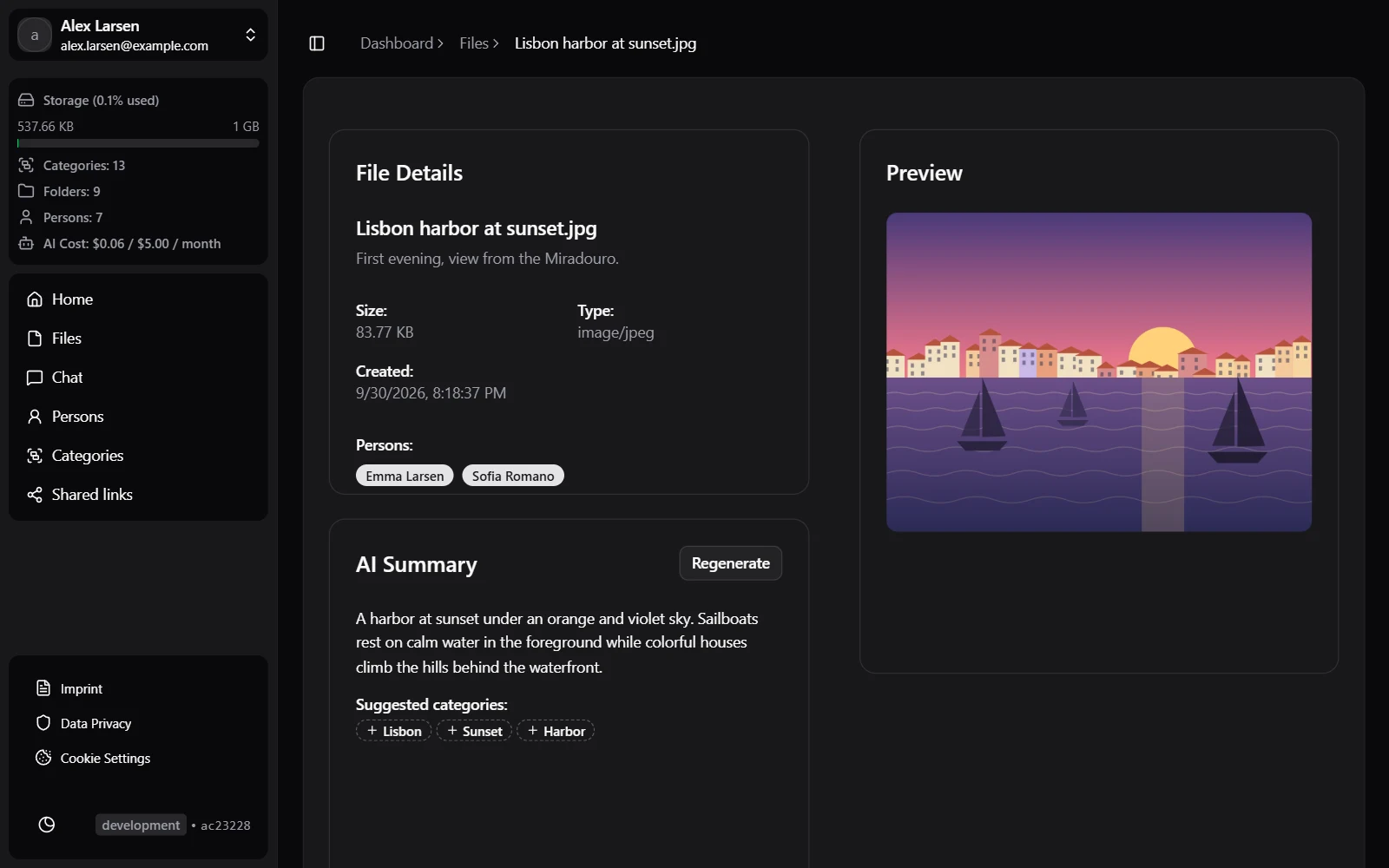 A file with its AI summary and suggested tags